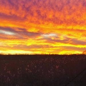 Meet your Posher, Clyde